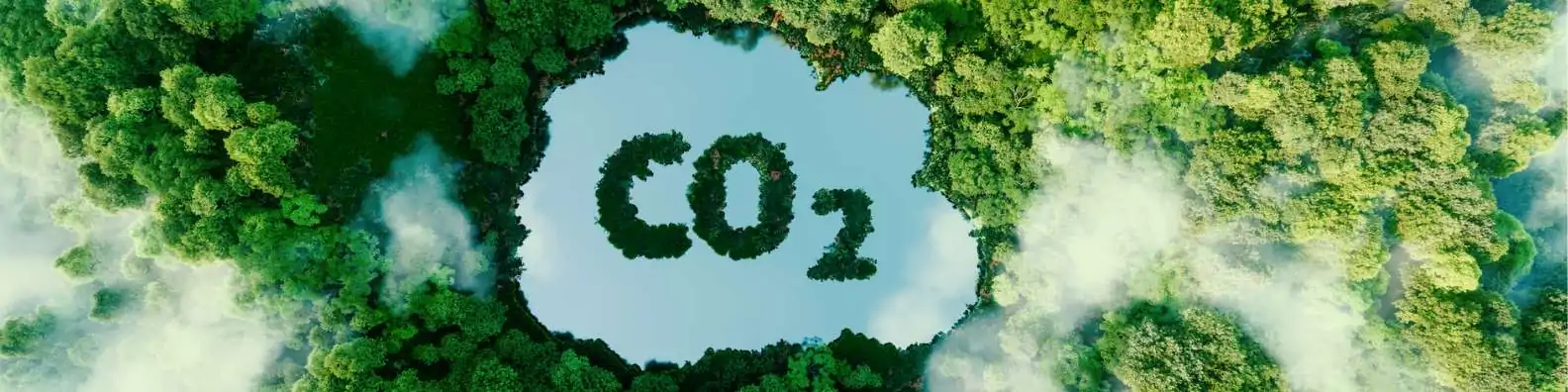 100% green electricity