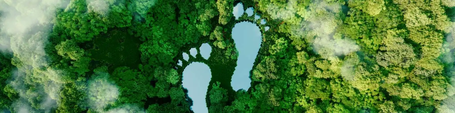 CO2 footprint