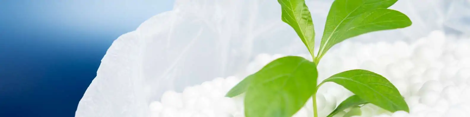 Sustainability